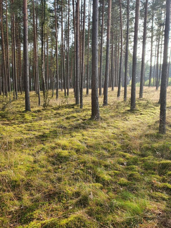 Milochowka - Dom Drewniany Blizniak Wdzydze Tucholskie Exteriér fotografie
